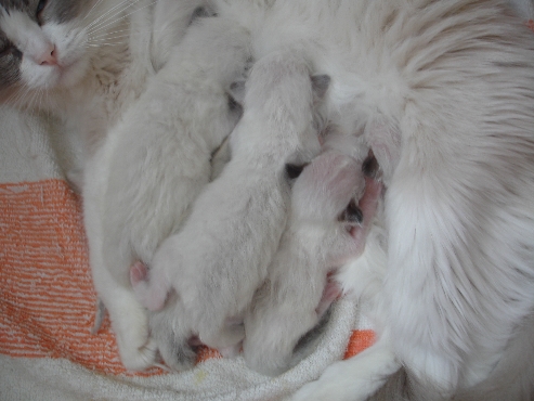 Digicam 17.08.08 004