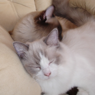 Digicam 23.07.08 026