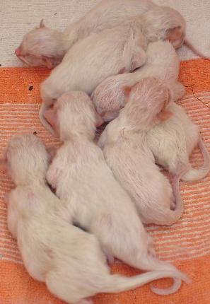 Digicam 23.07.08 066