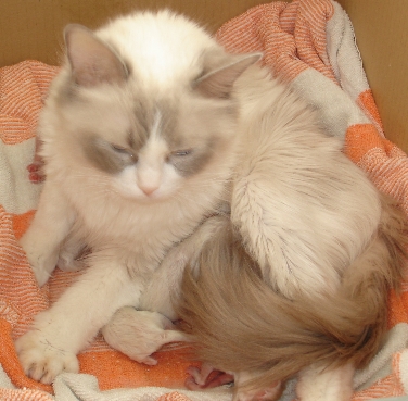 Digicam 23.07.08 068