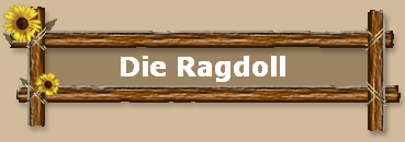 Die Ragdoll