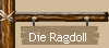 Die Ragdoll