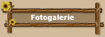 Fotogalerie