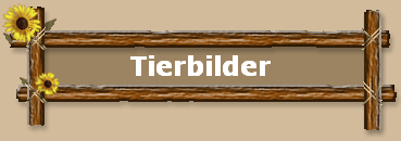 Tierbilder