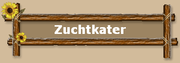 Zuchtkater