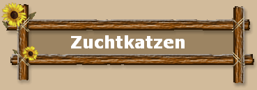 Zuchtkatzen