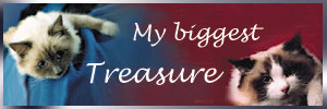 banner_BiggestTreasure03-lucida