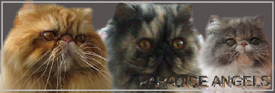 big_6558123_0_400-136